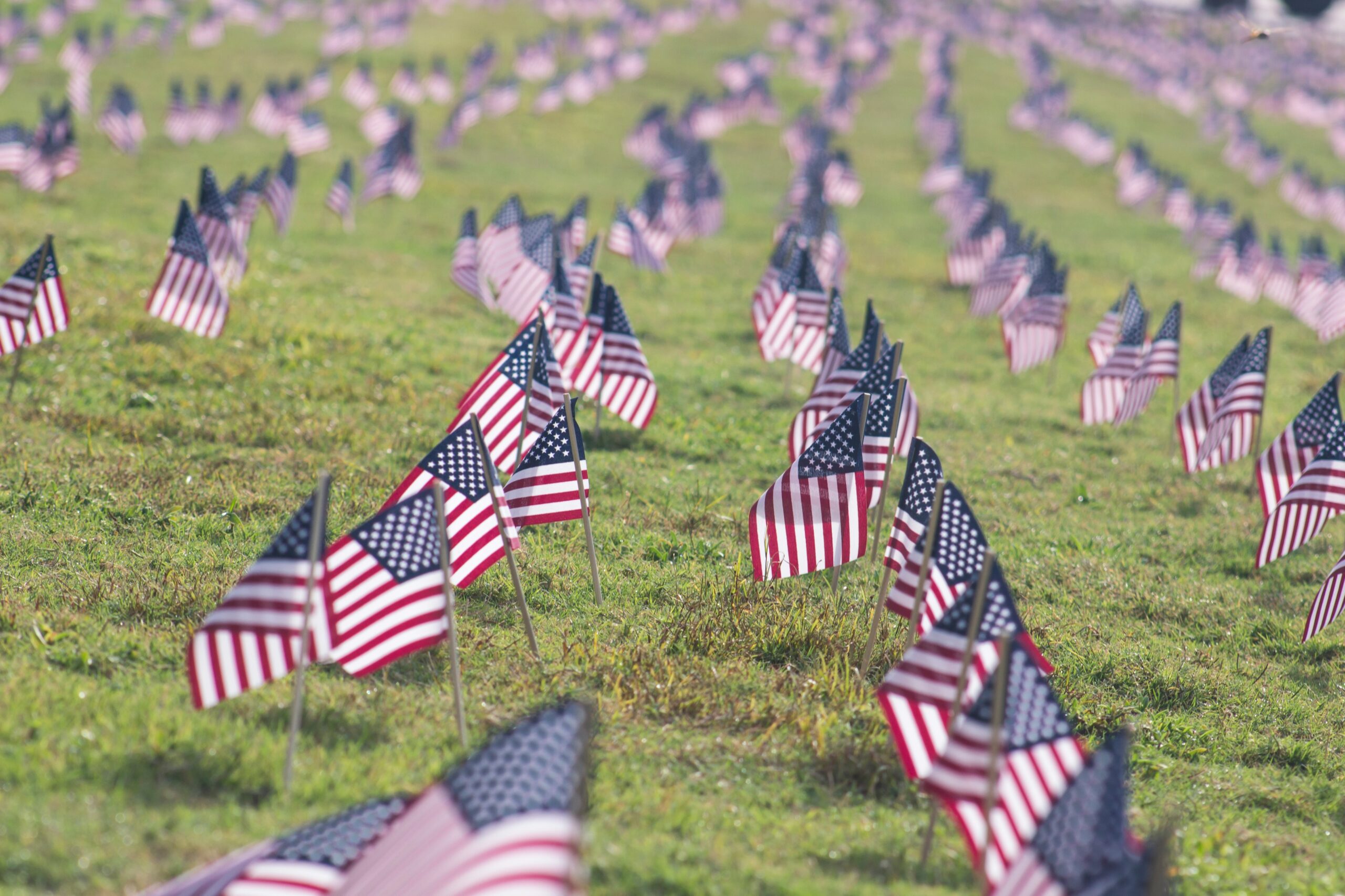 US / American Flags